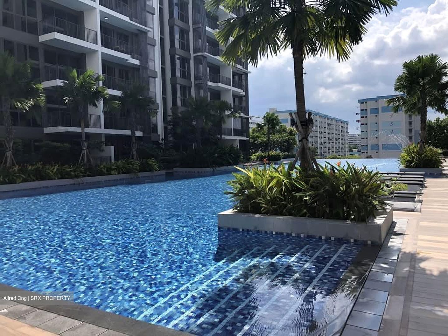 North Park Residences (D27), Apartment #561366561